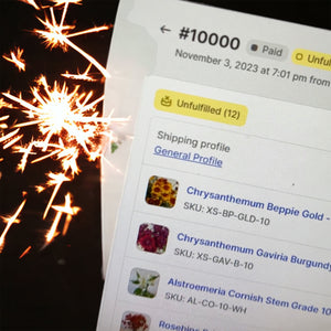 Evolve's Remarkable Journey: From Doubters to 10,000 Orders