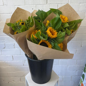 FARM SHOP - Sunflowers UK 6 bunches x 5 stems