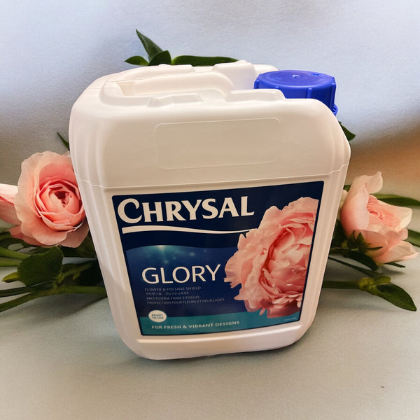 CHRYSAL Professional Glory