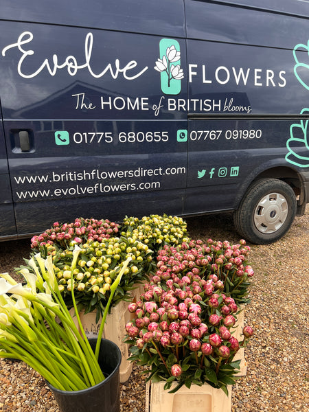 BRITISH FLOWERS (EVERY)WEEK SPECIAL Mixed Box 200+ stems