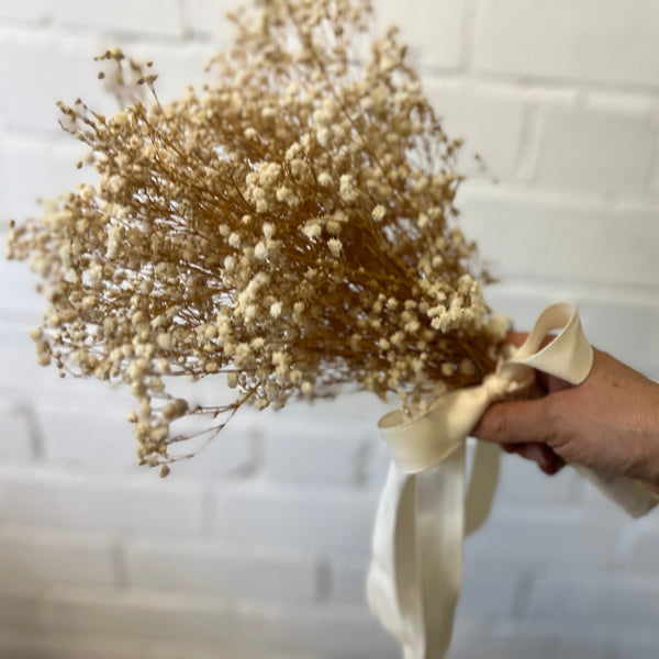 Dried - Preserved Gypsophila