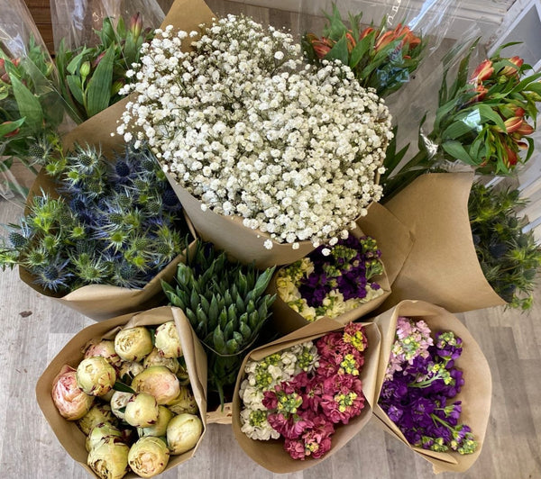 BRITISH FLOWERS (EVERY)WEEK SPECIAL Mixed Box 200+ stems