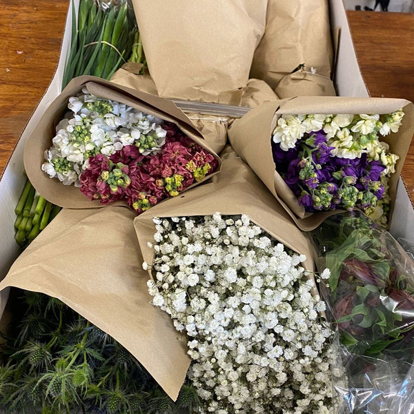 BRITISH FLOWERS (EVERY)WEEK SPECIAL Mixed Box 200+ stems