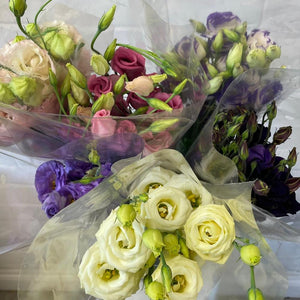 Lisianthus UK GROWN (Suffolk) - mixed colours