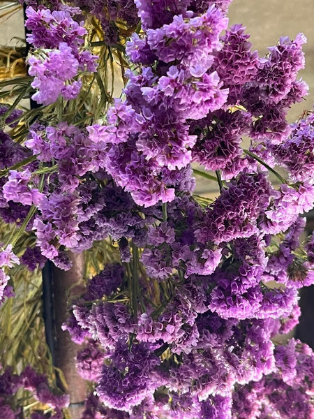 sustainable flowers dried 