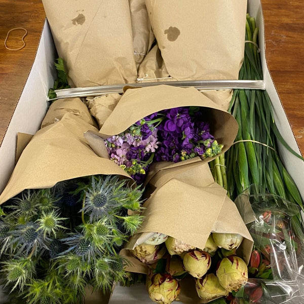 BRITISH FLOWERS (EVERY)WEEK SPECIAL Mixed Box 200+ stems