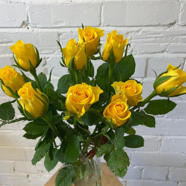 IMPORT - ROSE(KE) Small headed Yellow 50cm