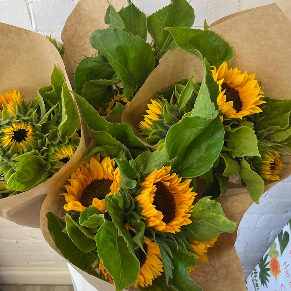 FARM SHOP - Sunflowers UK 6 bunches x 5 stems