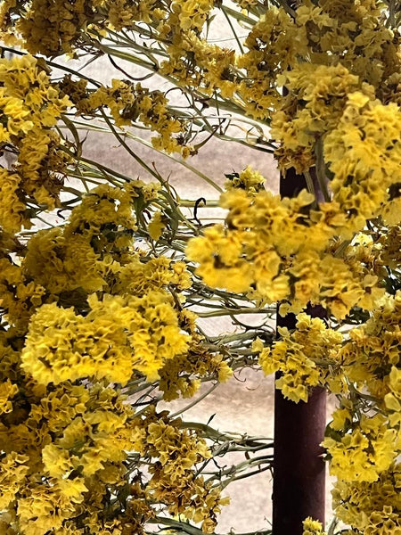 color mix dried flowers