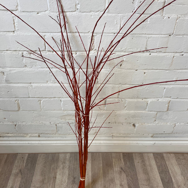 Willow - Scarlet 70-80cm 20 stems