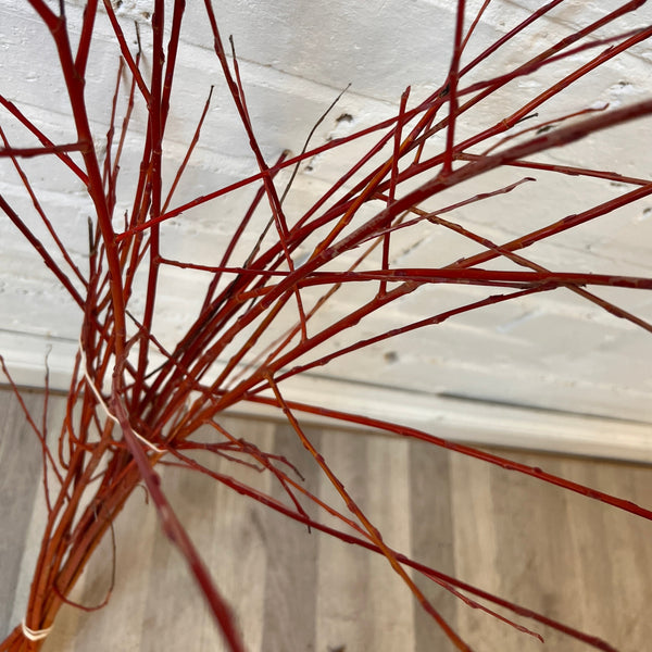 Willow - Scarlet 70-80cm 20 stems