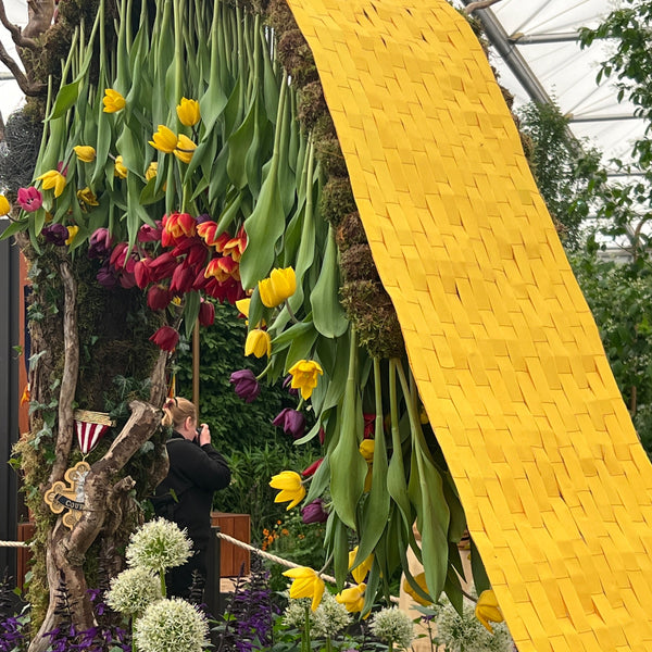 Ribbon Eco - Biodegradable/25mm width x 20 Yards /Yellow Brick Road