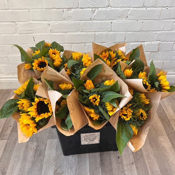 FARM SHOP - Sunflowers UK 10 bunches x 5 stems