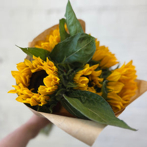 FARM SHOP - Sunflowers UK 10 bunches x 5 stems