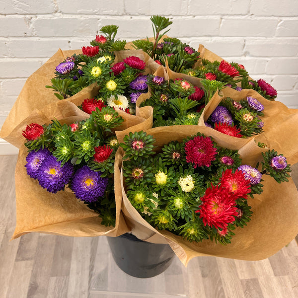 FARM SHOP FLOWERS - Japanese Asters 6 bunches