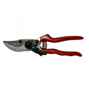 Secateurs