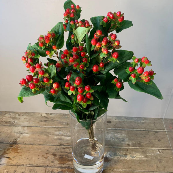 IMPORT Hypericum - Red 10 stems