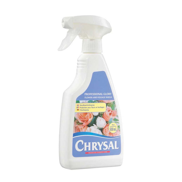 CHRYSAL Professional Glory