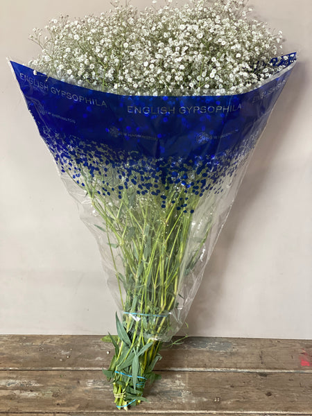 Gypsophila British White Bundle (Approx 25 stems)