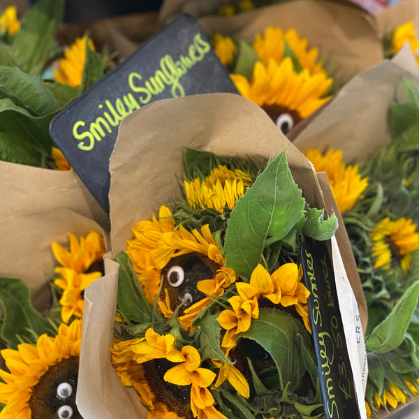 Sunflowers UK - Bunch 10 stems