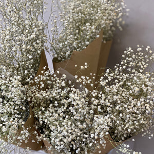 Dried Gypsophila White Bunch