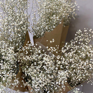 Dried Gypsophila White - BOX OFFER 100 stems