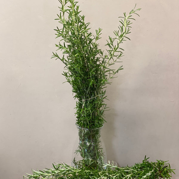 Rosemary - Bunch