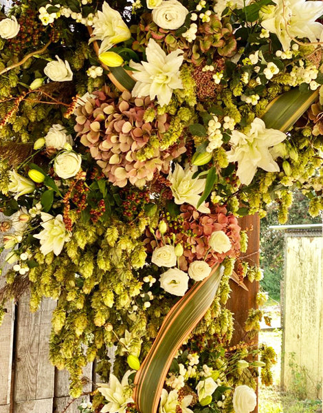 Hops - GARLAND X-LARGE 2.5m -3m