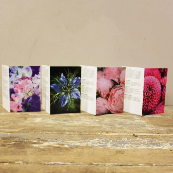 Gift Cards - The British Flower Collection - Pack of 100 cards in 4 designs